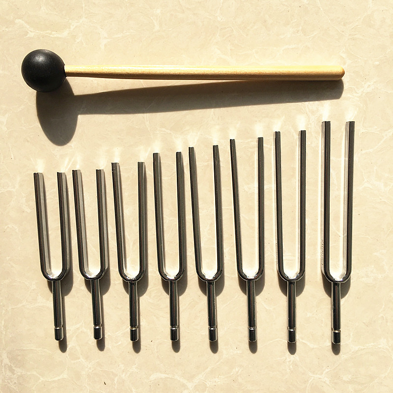 Tuning Fork 8 Group Music Grou - Musical Instrument Groups recension och pris