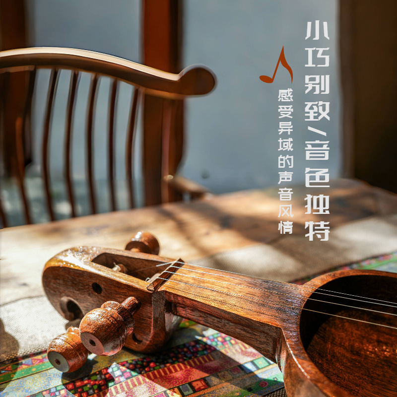 Nepalese salangi, alternative  - Musical Instrument Groups recension och pris