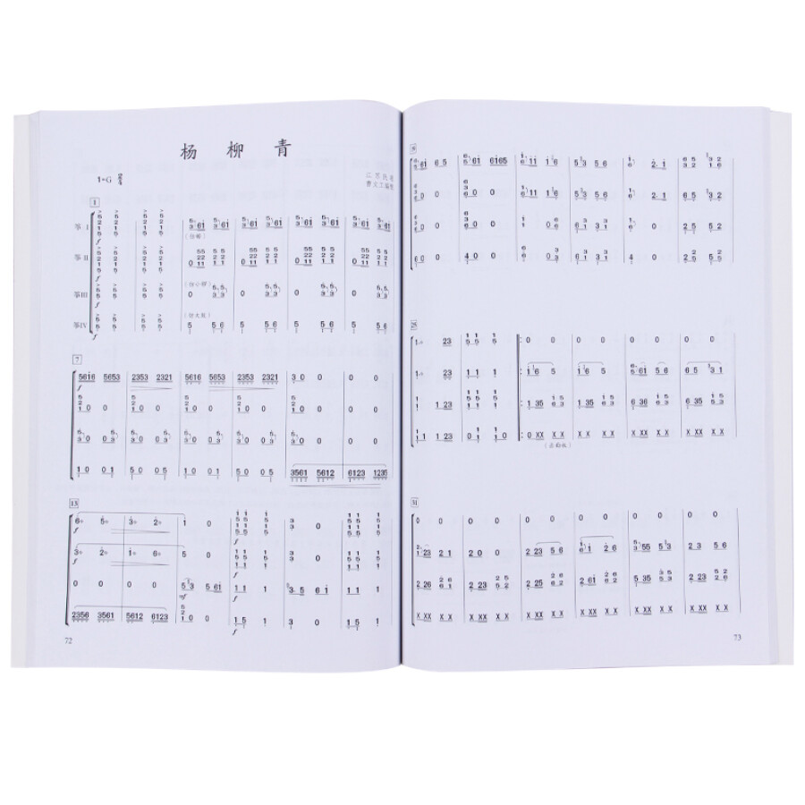 Chinese Guzheng Ensemble Music - Musical Instrument Groups recension och pris